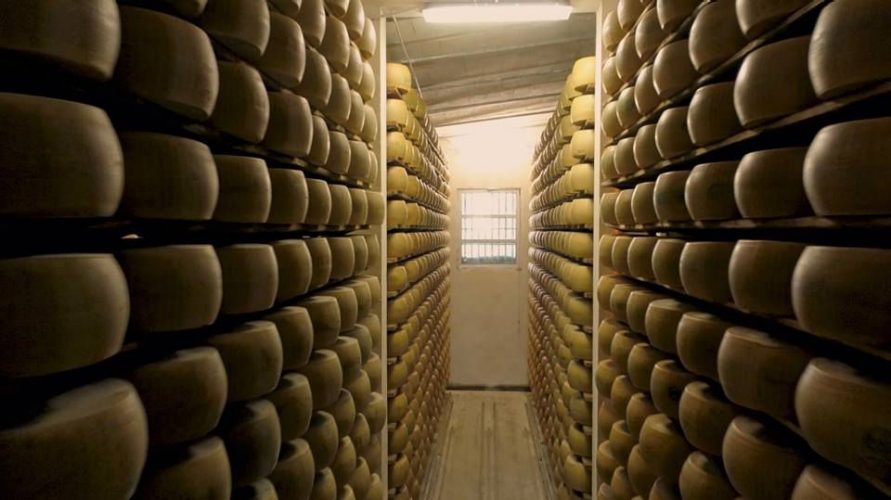 File di forme di Parmigiano poste a stagionare su degli scaffali in una cantina