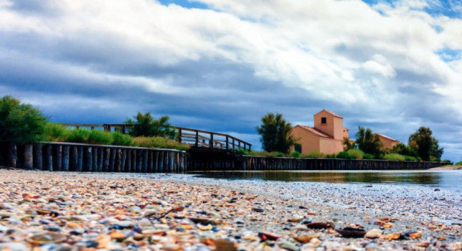 Itinerary in the Southern Valleys of Comacchio, natural treasures of Emilia-Romagna
