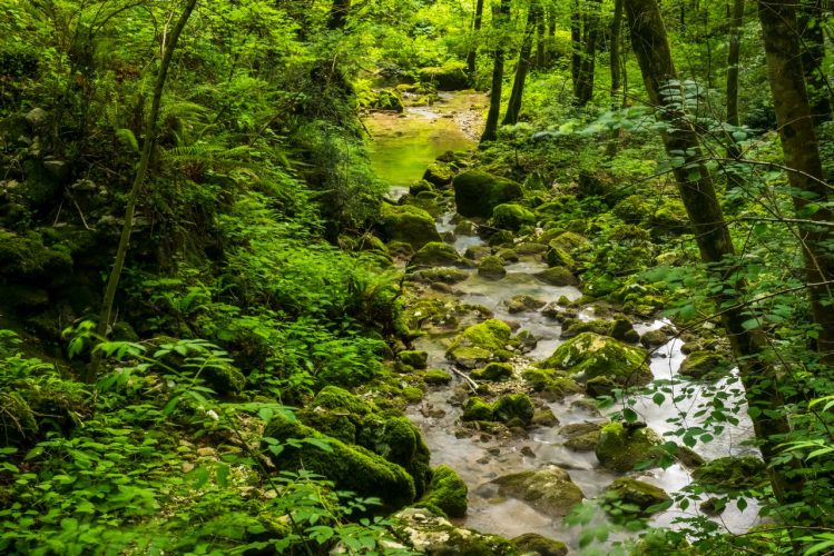 The Natisone Valleys