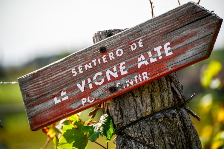 Cormons e Collio: tra vini e sapori