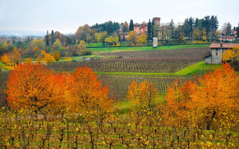 I paesaggi di confine del Collio