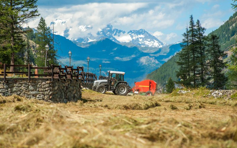 Un canale diretto con agricoltori e produttori