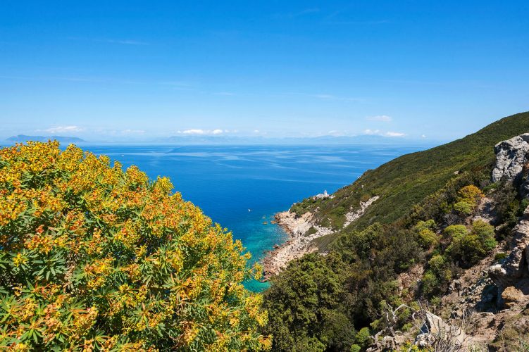 Isola di Zannone, Lazio