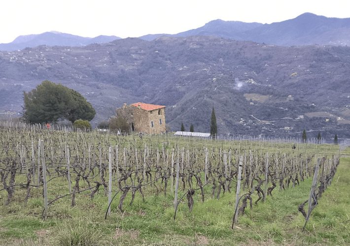 Riviera Ligure di Ponente: tra fiori, colori e sapori