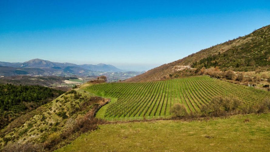 San Ginesio: balcony over the Sibillini and land of sparkling red