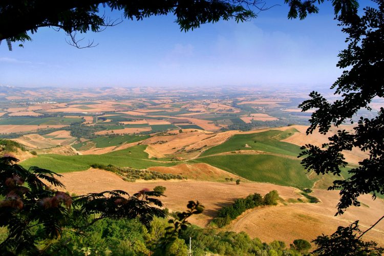 Campagna molisana