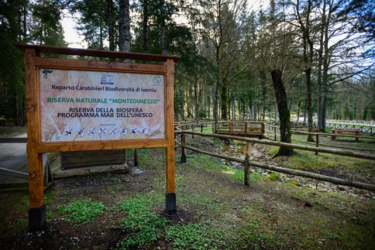 Sentieri nel cuore del Molise: alla scoperta della Riserva MAB UNESCO Collemeluccio-Montedimezzo e Carovilli