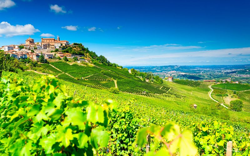 Barolo, where the king of wines is born