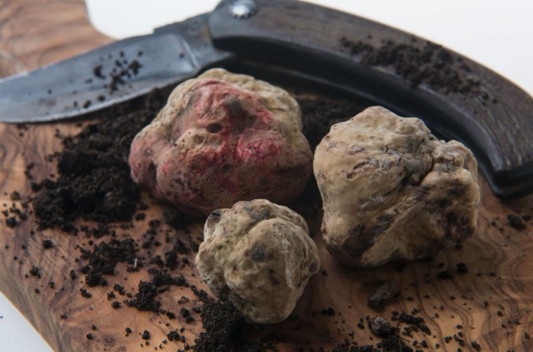 Tartufo d'alba