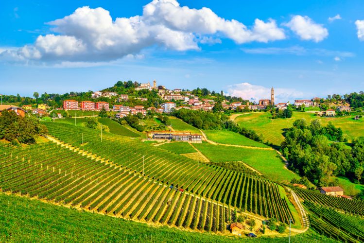 Monforte d'Alba