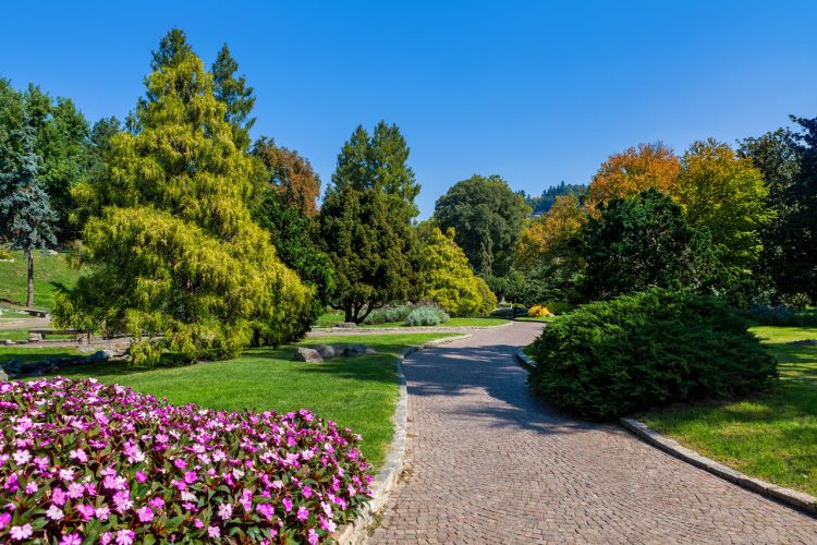Uno dei viali del Parco del Valentino
