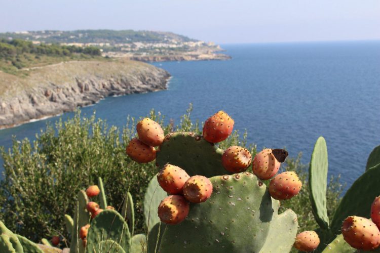 Da Santa Cesarea Terme a Marina Serra