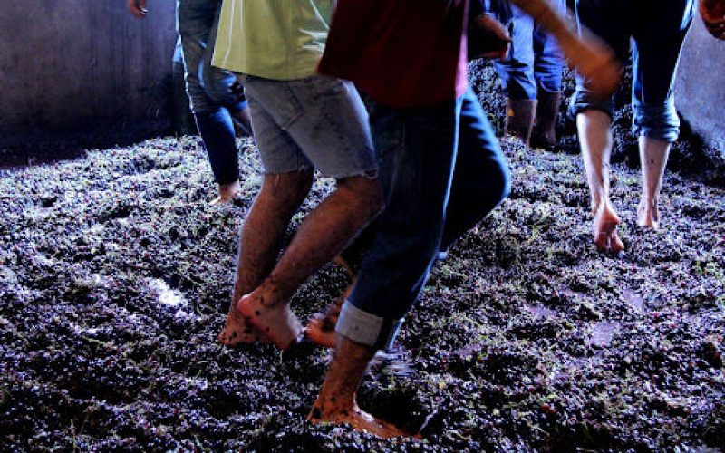 Syracuse DOC: wine and baroque by the sea