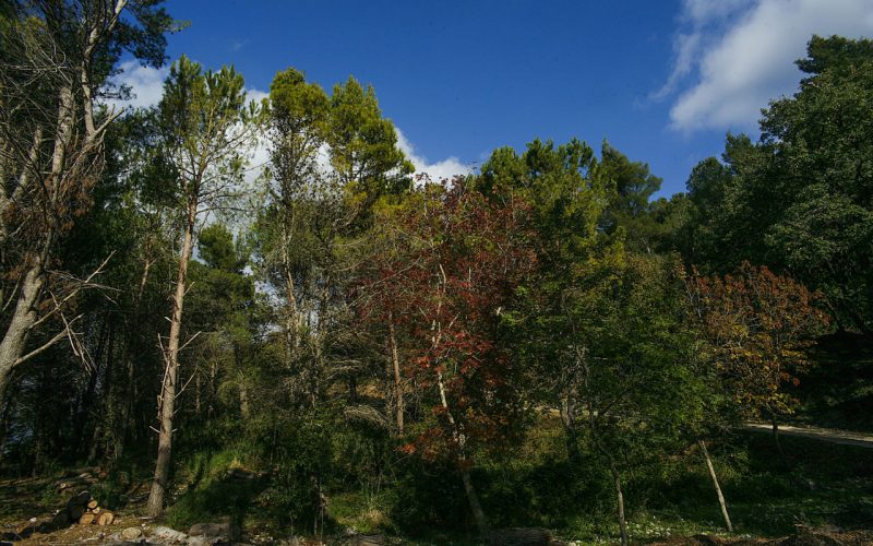 foto per visitsicily - 9 Sulle Orme di San Bernardo - Barone Burgio