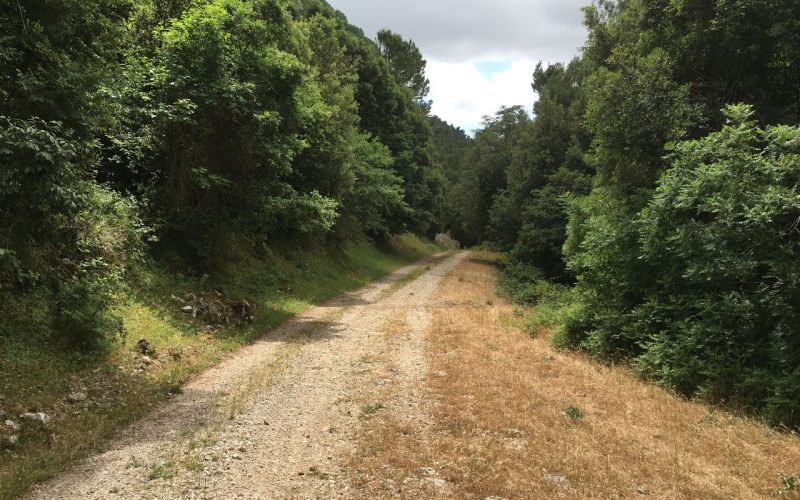 foto per visitsicily - 8 Sulle Orme di San Bernardo - Martorana Bivona 
