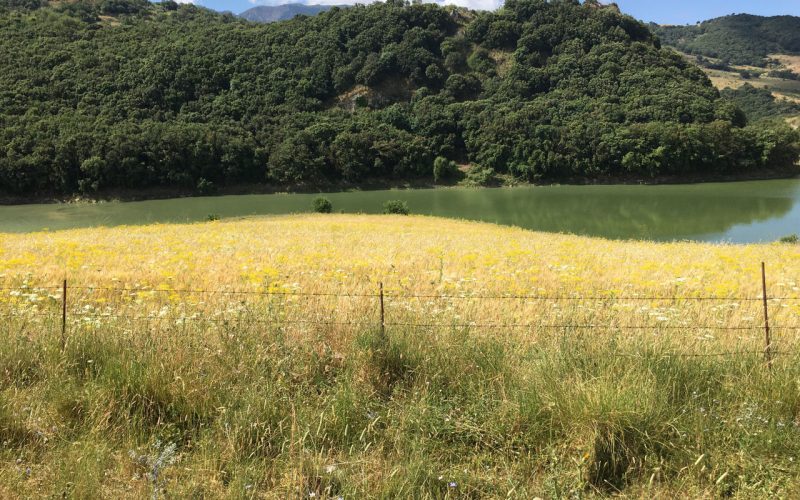 foto per visitsicily - 4 Sulle Orme di San Bernardo - Martorana Bisacquino