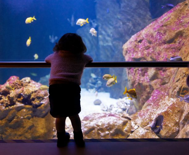 Acquario Livorno - Photo by: Antonio Gravante / Shutterstock.com