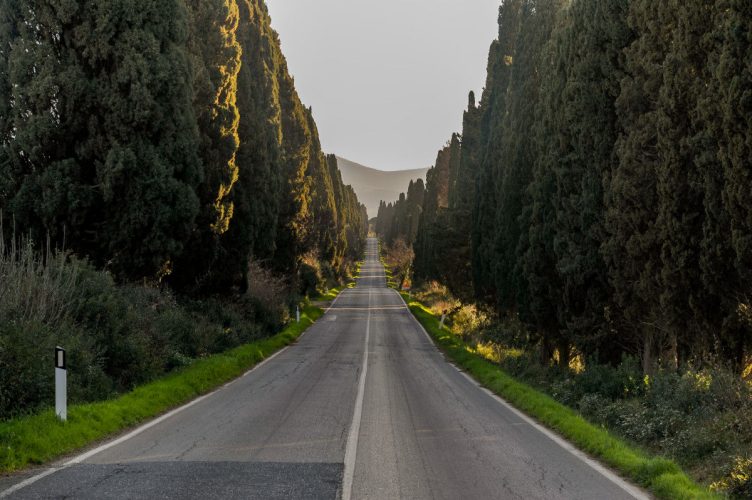 Bolgheri, with its famous Viale dei Cipressi and its excellent wines