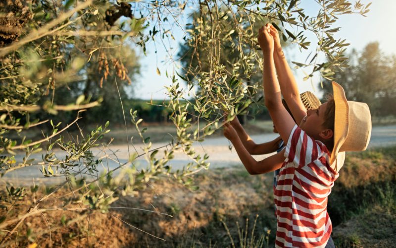 sentiero vino e olio toscana