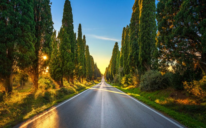 Viale dei Cipressi a Bolgheri, nella Maremma Toscana