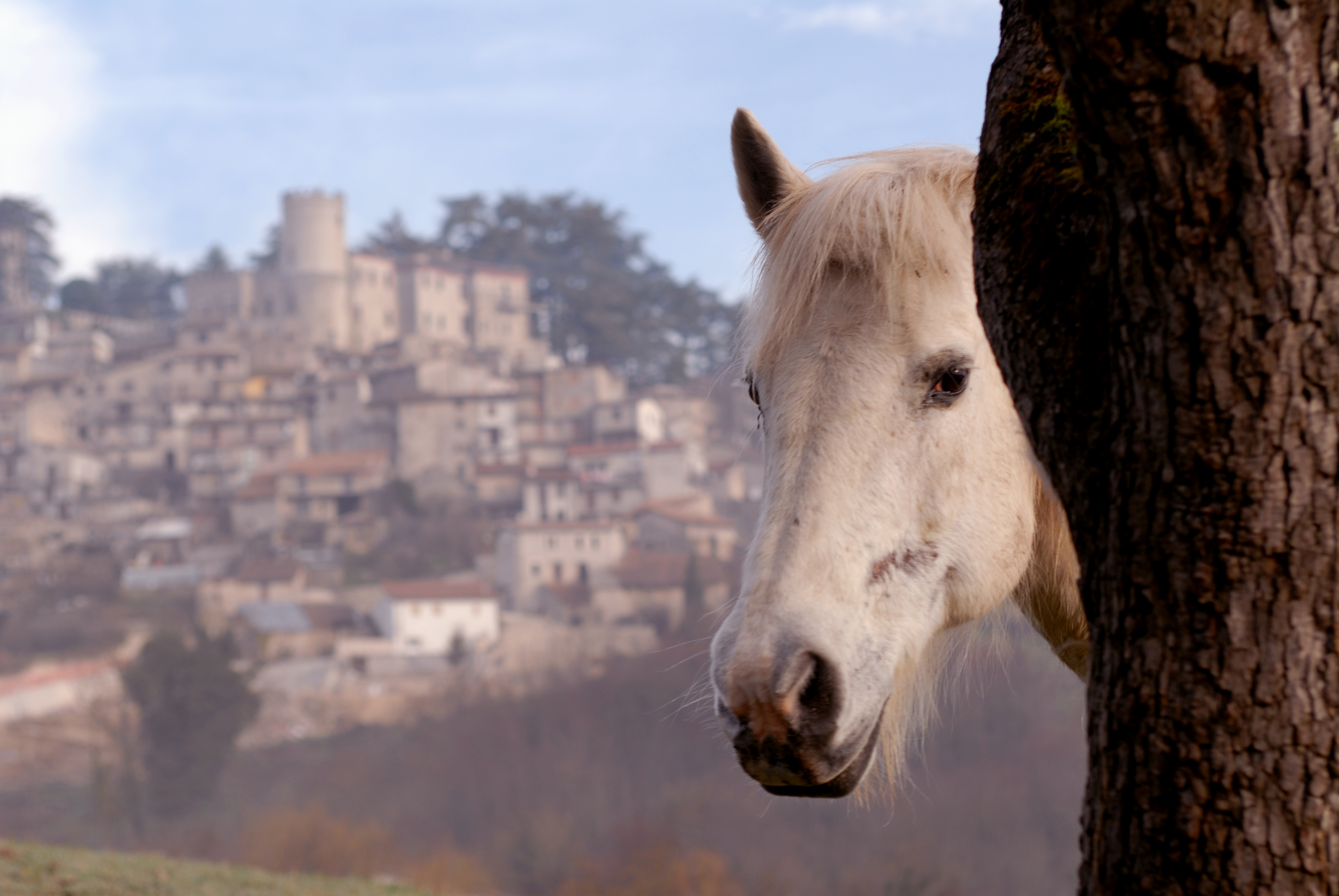 Castel di Tora - Orvinio