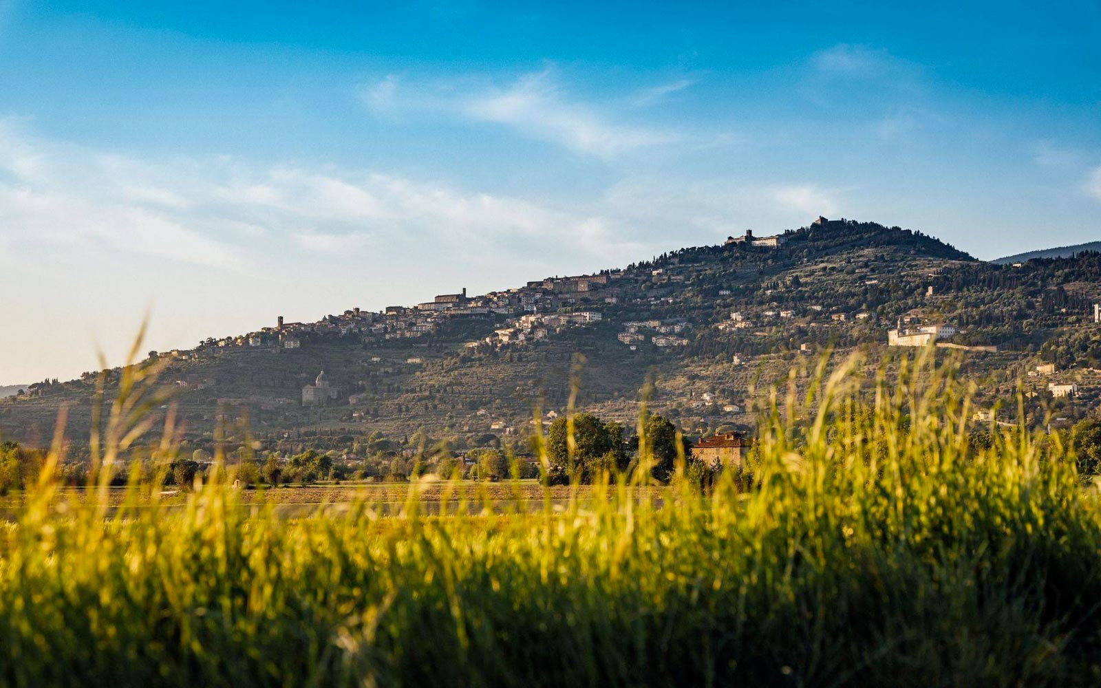 Pieve di Rigutino - Cortona
