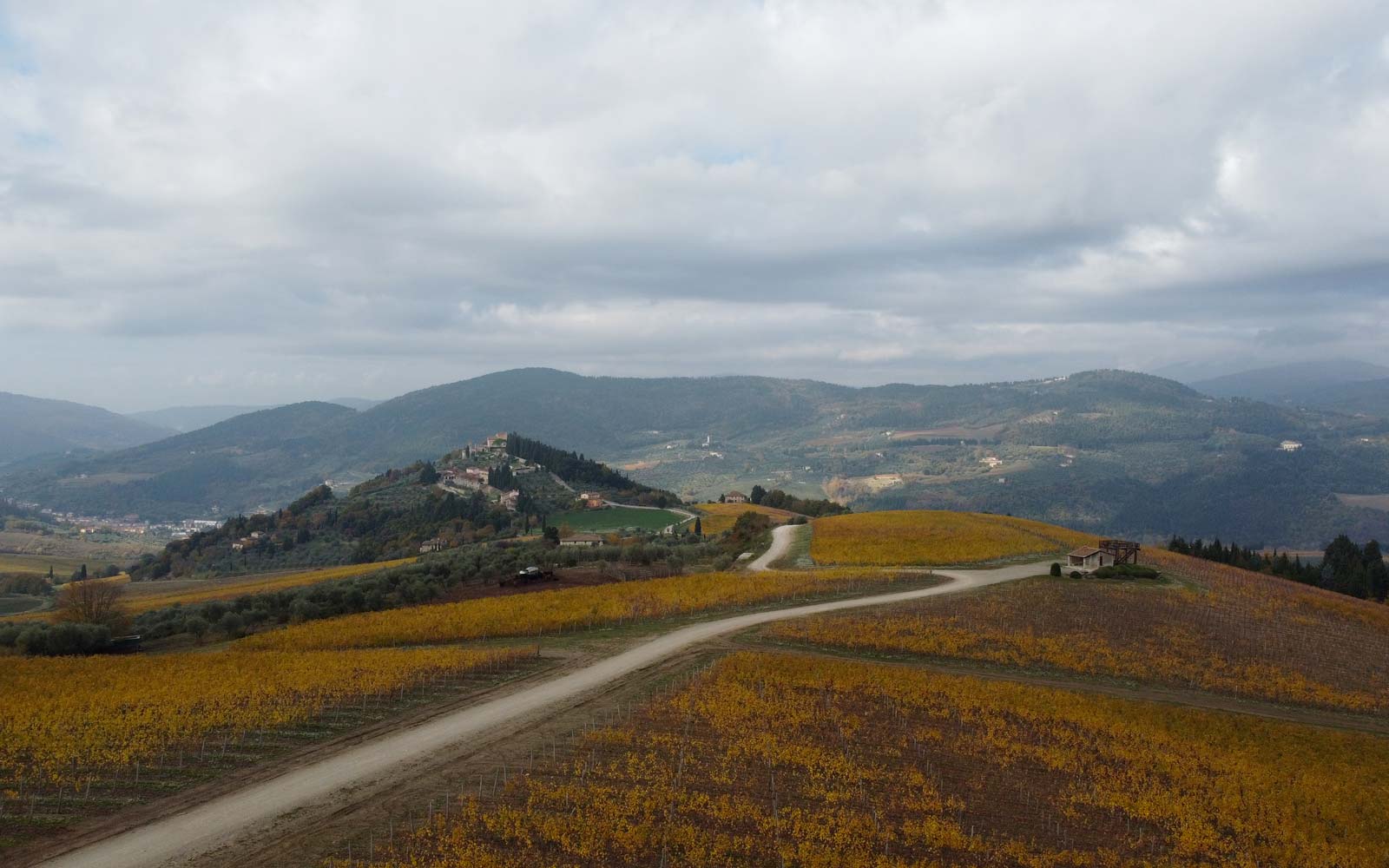 Pontassieve - Passo della Consuma