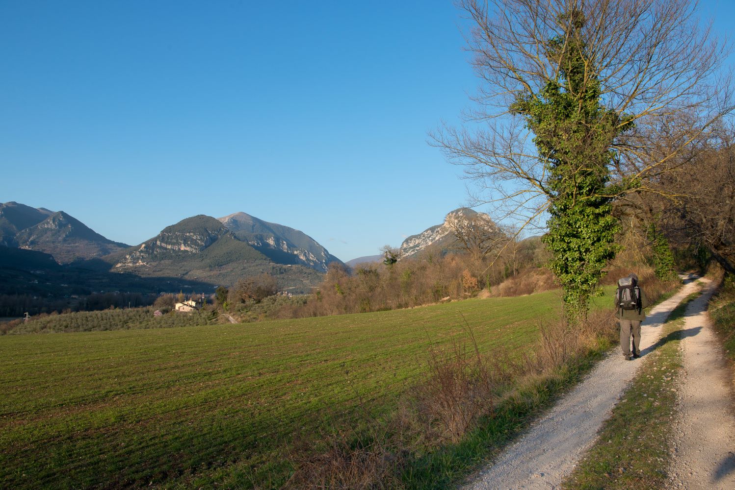 Ceselli - Arrone