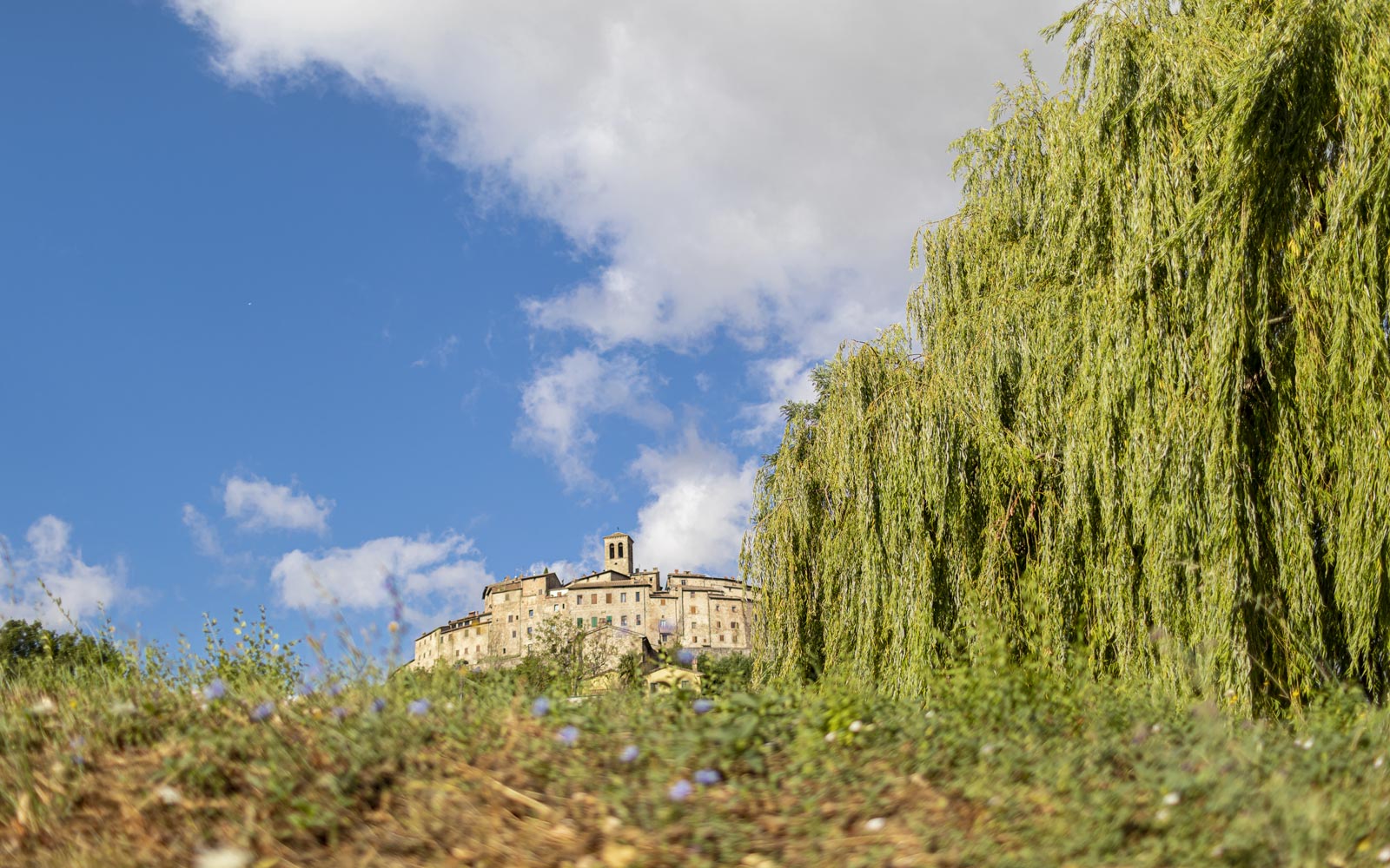 Caprese Michelangelo - Anghiari
