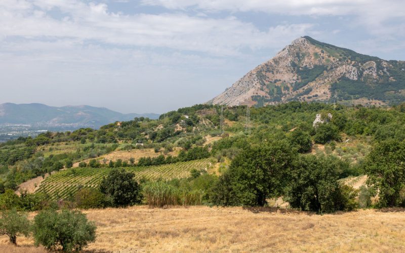 Nas encostas do Taburno