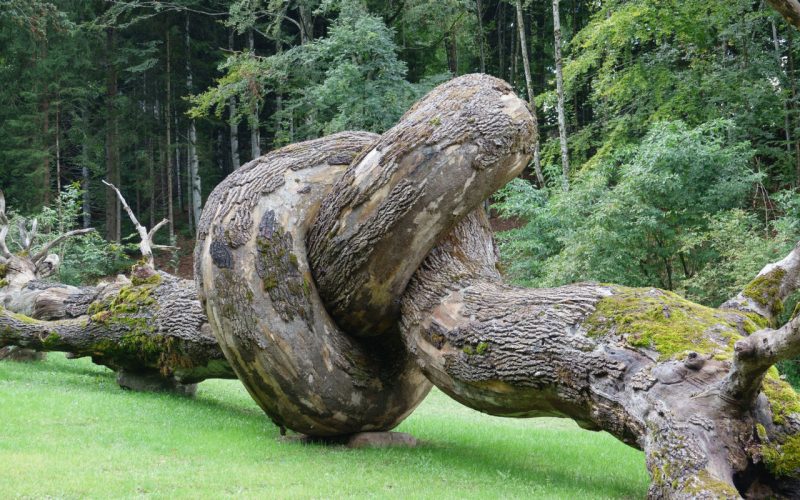 giro d italia 18 installazione artistica arte sella