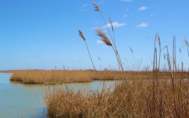 Goro, a aldeia das amêijoas