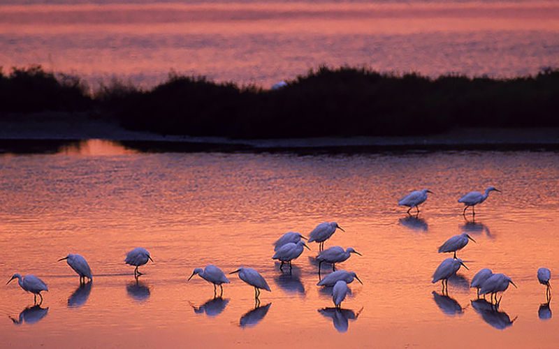 O farol de Bacucco, o destino final