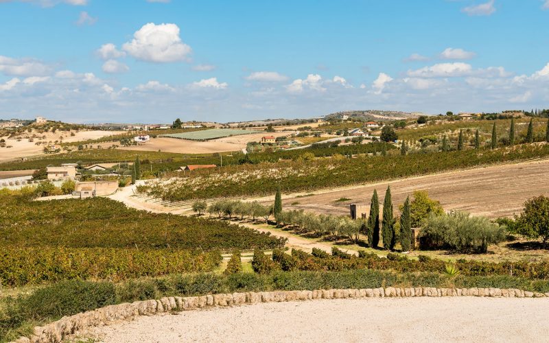 La campagna intorno a Campobello di Licata